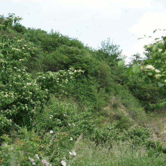 Eilsbusch bei Wethen