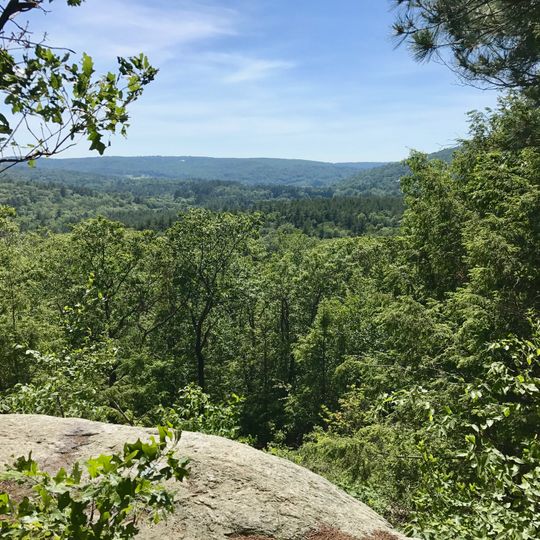 Nepaug State Forest
