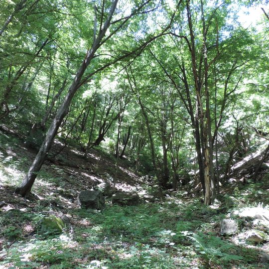 Koritata protected area, Varvara