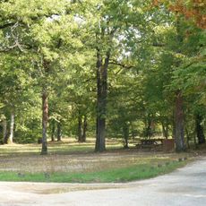 Forêt de la Braconne