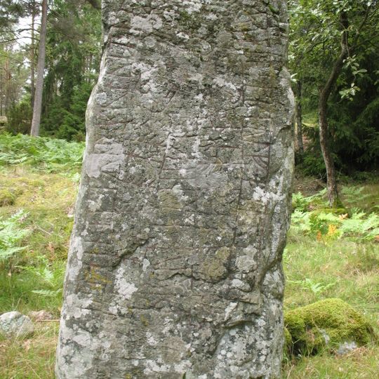 Södermanlands runinskrifter 170