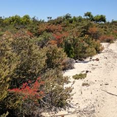 Alexander Morrison National Park