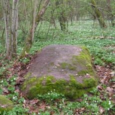 Kašučių I akmuo su dubenėliais