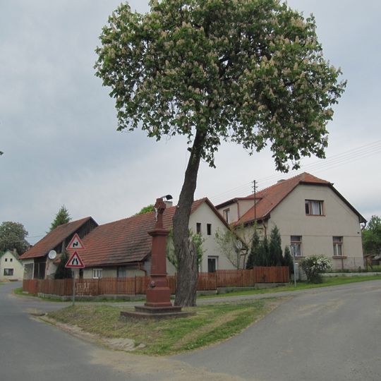 Bělokozly