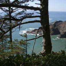 Cape Falcon Marine Reserve