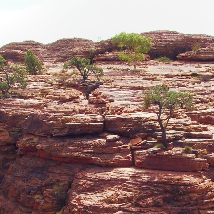 Kings Canyon