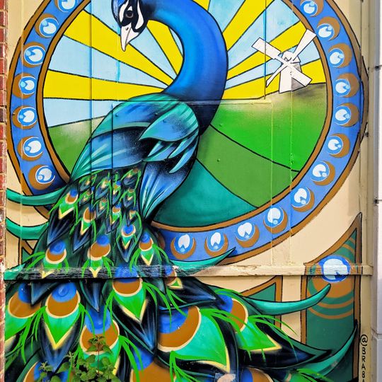 Spray painting of a peacock.