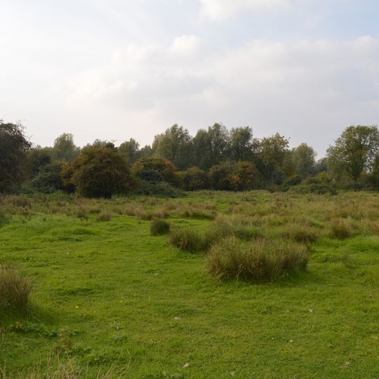 Henlow Common and Langford Meadows