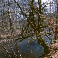 Saint-Pardoux-le-Vieux