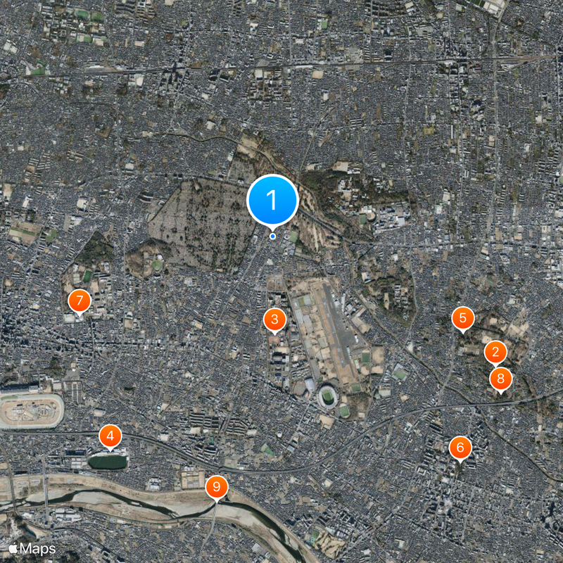 Seibu Tamagawa Line Map