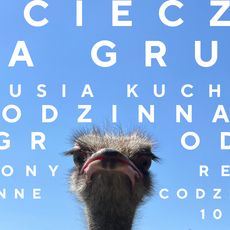 Farma Strusi w Kniewie