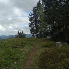 Tête de Fellering (Grand Drumont)