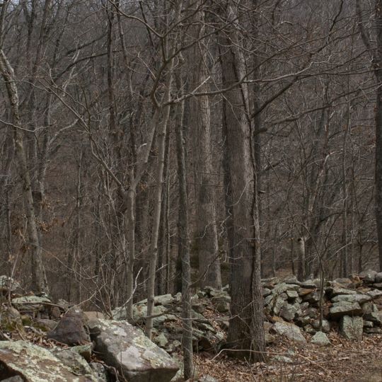 Giant City Stone Fort Site