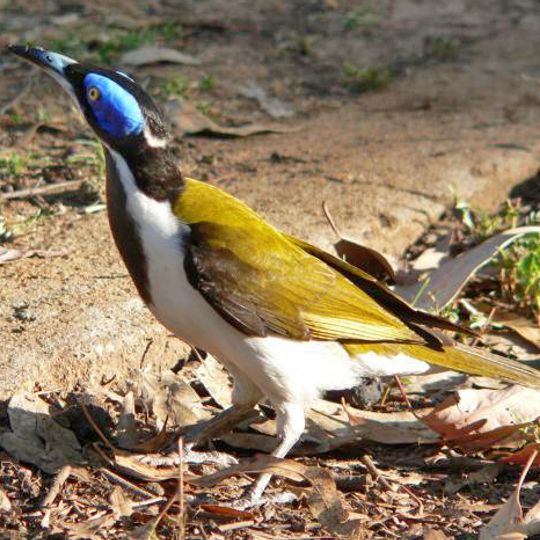 Nour Nour National Park