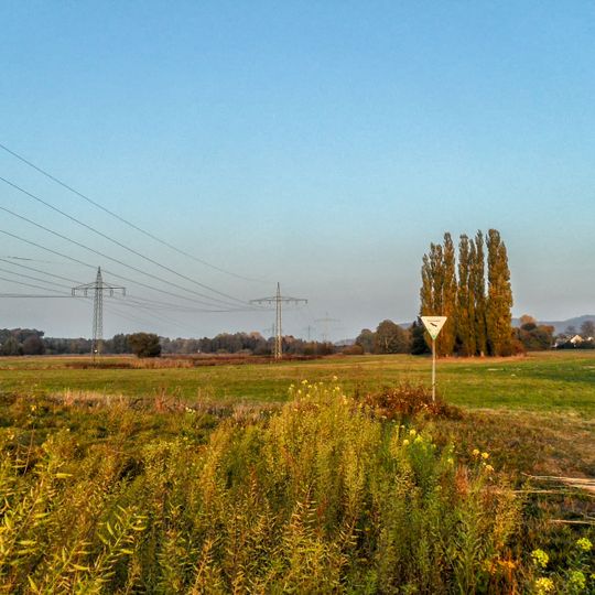 Wiesen nördlich von Vogelbach