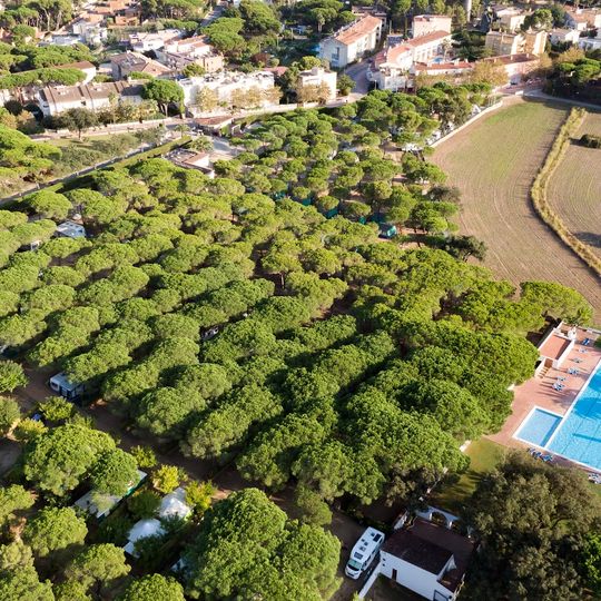 Internacional Palamos