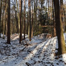 Barrow cemetery Mitterbachwald