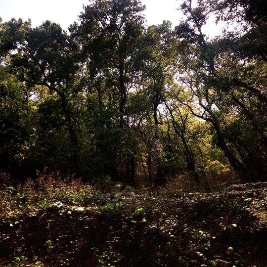 Parco nazionale di Kalesar