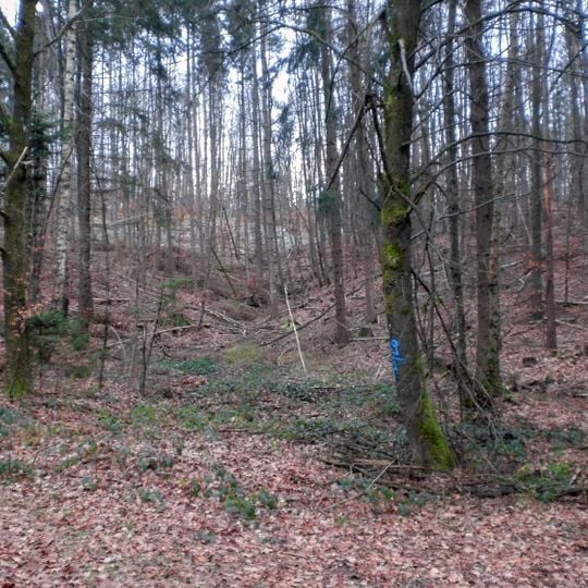 Wallanlage in Fischbach