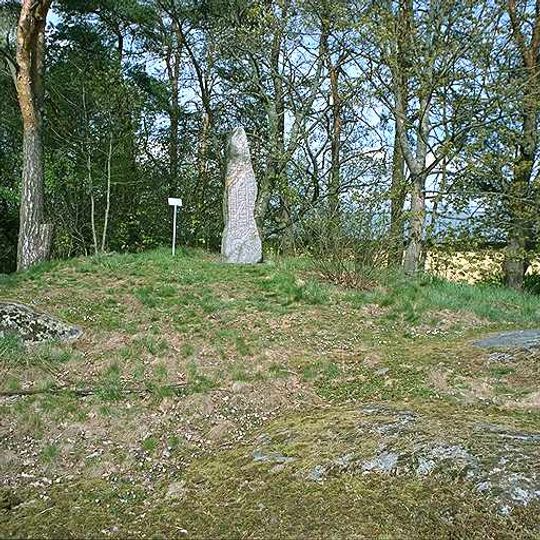 Västergötlands runinskrifter 115