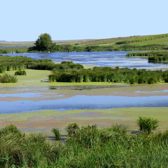 Chornohuzivskyi nature reserve