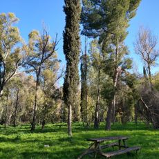 Parco naturale regionale Bosco Incoronata