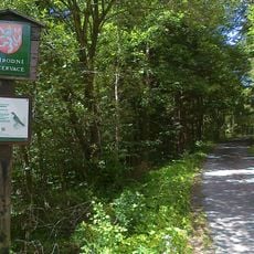 Přírodní rezervace Skalní potok