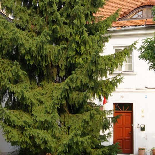 6/VIII, Wieniawskiego Street in Warsaw