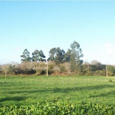 Castro de Castrillón