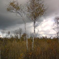 Avaste Nature Reserve