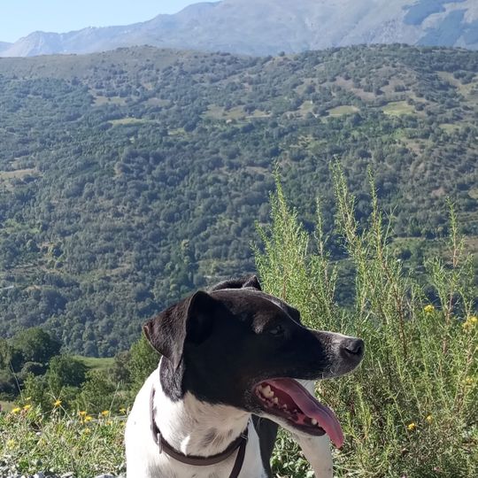 Cortijo Balderas