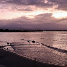 Altona Dog Beach