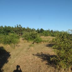 Žebětín (natural monument)