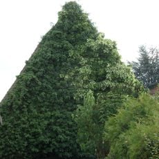 Kleinhaus in Rückersdorf