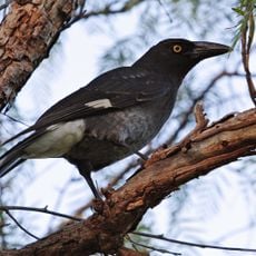 Beeron National Park