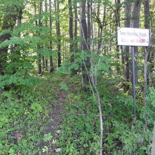 Nature reserve Morzyk