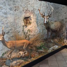 Centro studi naturalistici del Pollino Il Nibbio