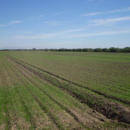 Etchojoa Municipality