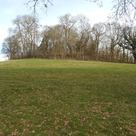 Hillfort on King John's Hill