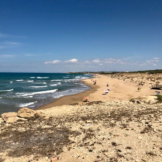 Demanio forestale di Randello