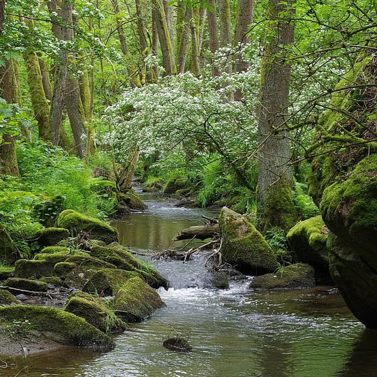 Wolfslohklamm bei Sargmühle