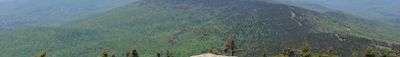 Panoramic View 0