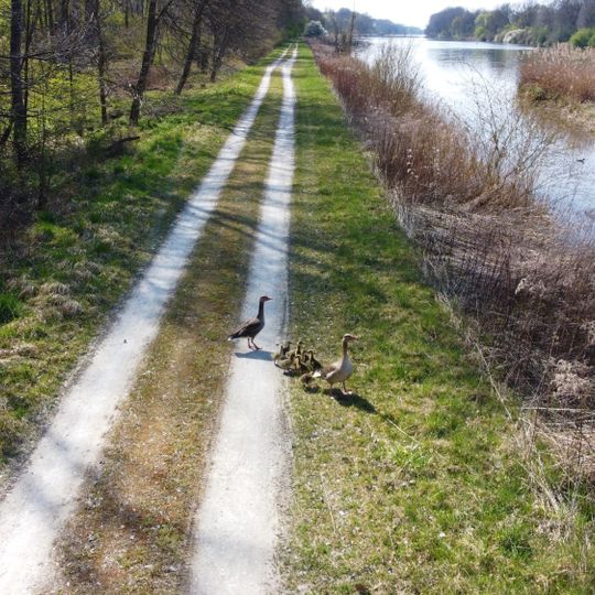 Donauauen an der Kälberschütt