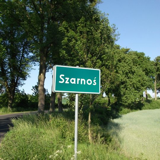 Szarnoś