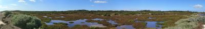 Panoramic View 0