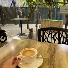 Hamilton Island Wildlife Park