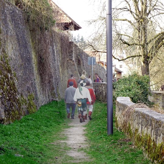 Gneisaufschluss am Burgberg von Nabburg