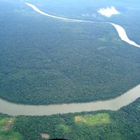 Amazonas