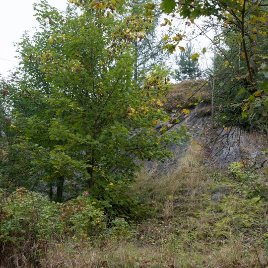 Steinbruch SE von Haßlach bei Teuschnitz