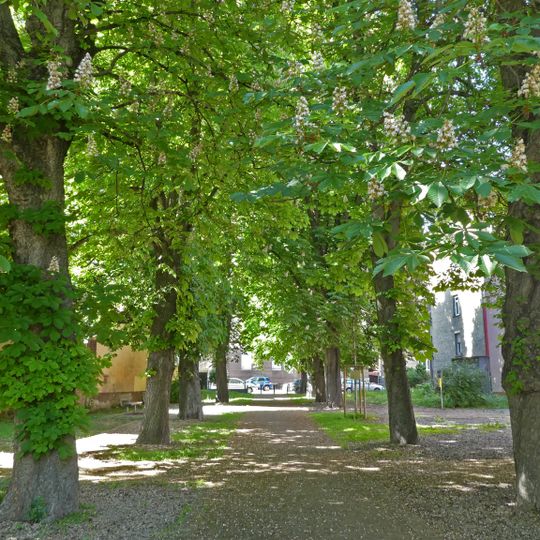 11 Rosskastanien "Haldenstraße"